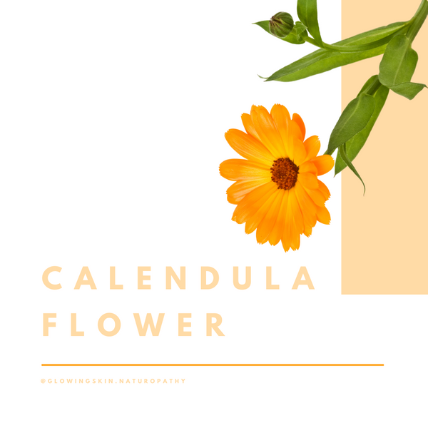Calendula = Skin Lymphatic